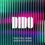 04a.Dido - Take You Home (Undercatt Remix)_okladka
