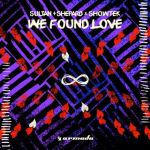12a.Sultan + Shepard x Showtek_We Found Love_single cover